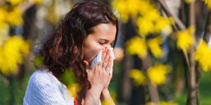 Pollens : pourquoi d-ici 2050 la moitie de votre foyer y sera certainement allergique