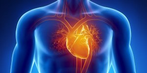 Insuffisance cardiaque : l’alcool serait un declencheur si vous portez le mauvais gene