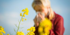 Rhinite allergique : que faire en prevention du rhume des foins