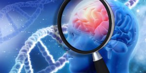 Alzheimer : la methode qui permet de reperer les signes plusieurs annees avant
