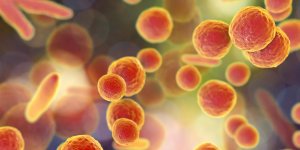 Ureaplasma urealyticum : comment ca se soigne ?