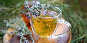 Tisane de thym : une infusion anti-flatulences