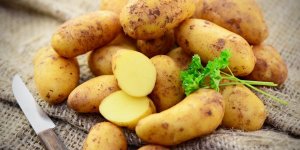 Les secrets du regime pomme de terre
