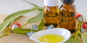 Eucalyptus : une huile essentielle anti rhume