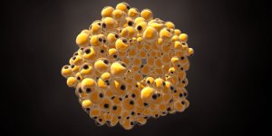 Cancer de la peau : une desorganisation des adipocytes facteur de melanome