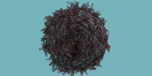 Lymphome : a quoi sert la biopsie de moelle osseuse ?