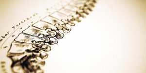 Tassement vertebral : un signe d-osteoporose ?
