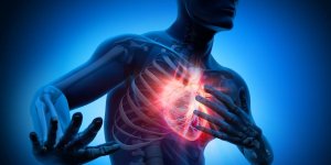 Un nouveau marqueur pourrait predire votre risque de crise cardiaque