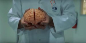 Chercher, trouver, guerir avec l’Institut du Cerveau et de la Moelle epiniere