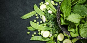Les principaux roles du magnesium dans l-organisme