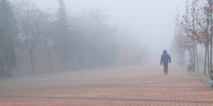 La marche en exterieur quand l-air est pollue, bonne ou mauvaise idee ? 
