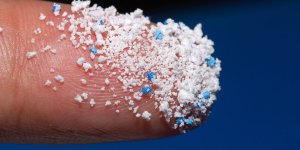 Ou finissent les microplastiques que vous inhalez ?