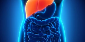 Hepatocarcinome : les chances de survie