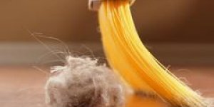 10 astuces pour faire fuir les acariens !
