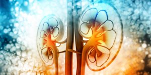 Les principales complications renales du diabete