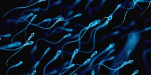 Sterilite masculine : les tests disponibles