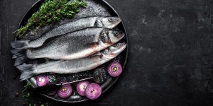 Un type de poisson responsable du cancer du foie