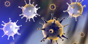 Covid : les medecins craignent un prochain variant plus mortel