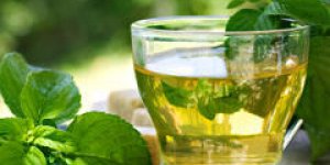  La menthe, une plante aromatique magique