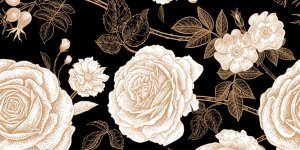 Griffure de rosier : que risquez-vous reellement ?