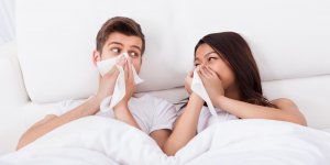 Non, un rhume ne s-attrape pas par un baiser