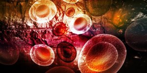 Infection du sang : les causes
