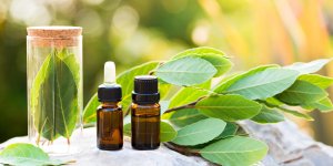 Inflammation des articulations : l-huile essentielle de laurier comme remede