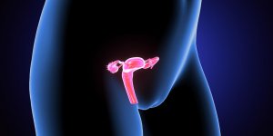 Contraception : comment mettre un diaphragme ?