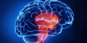 A partir de quel age notre cerveau commence a vieillir ? 