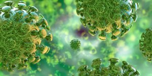 Grippe, Rhino, gastro... : comment prevenir et soigner ces maladies de l-hiver ?