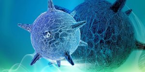 Herpes : les deux types de virus HSV