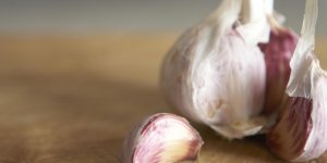 Vers intestinaux : de l-ail comme remede naturel