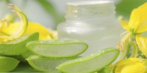 Urticaire : les traitements par les plantes