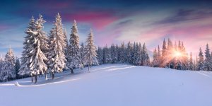 Mer, montagne, foret : leurs incroyables bienfaits