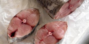 Le thon : un aliment anti-cholesterol