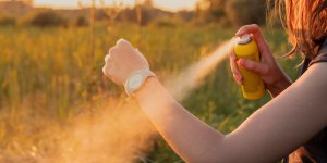 Les insecticides a base de citriodiol protegeraient contre le Covid-19, selon une etude