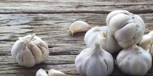 Comment soigner une verrue plantaire avec de l-ail