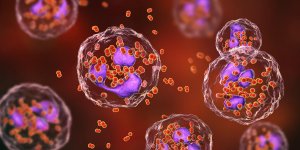Polynucleaires eosinophiles : qu-est-ce que c-est ?