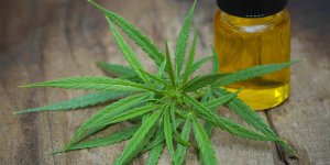 Addiction au cannabis : qu-est-ce que le THC ?
