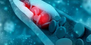 7 idees recues sur le cholesterol