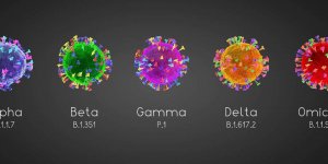 Coronavirus : combien de temps dure l-immunite entre deux infections ? 