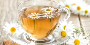 Tisane amaigrissante : une recette maison pour maigrir du ventre