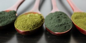 Spiruline ou chlorella : la difference entre ces deux algues