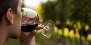 Boire un verre de vin par jour, vraiment bon pour la sante ? [Info ou intox] 