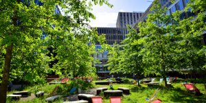 Les espaces verts, un rempart aux maladies mentales et physiques