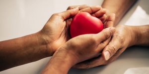 Reins, lobe du foie… Quels dons d’organes faire de son vivant ?