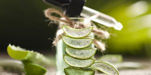 Peau seche et demangeaison : l-aloe vera comme remede naturel