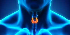 Papillomavirus : une cause des cancers de la gorge et de la bouche ?