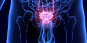 Troubles urinaires : quelles solutions ?