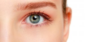 Piqure d-insecte et gonflement de la paupiere : que faire ?